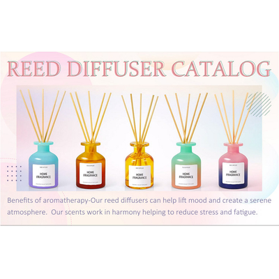 Sabor hecho en casa colorido de Reed Diffuser Sea Salt del aceite esencial 120ml