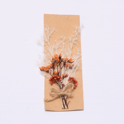 Hierba secada natural colorida de Pampa los 43*15cm para el sistema del regalo