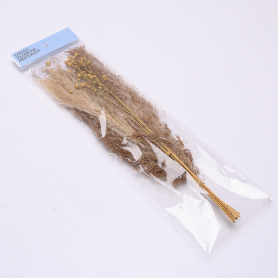 Longitud artificial los 35cm del arreglo de la hierba de pampa