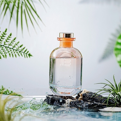 Botella de vidrio personalizada Aceite esencial Aromaterapia Stick Clear Hogar Reed Difusor