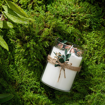 Tarro de lujo de encargo del vidrio de la caja de regalo de la etiqueta privada del HOGAR del AROMA que cura las velas de Crystal Spiritual Aromatherapy Scented Soy