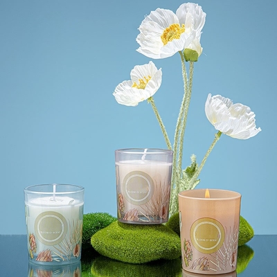 Sistema colorido 60g 50ml del regalo de Pinecone Reed Diffuser Scented Candle Jar del banquete de boda
