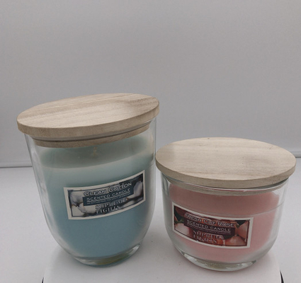 Las pequeñas velas hechas en casa de la citronela vuelan las velas repugnantes interiores