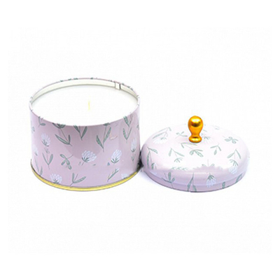 Metal perfumado hecho a mano Tin Can Candle 100ml 250ml de la cera de la soja