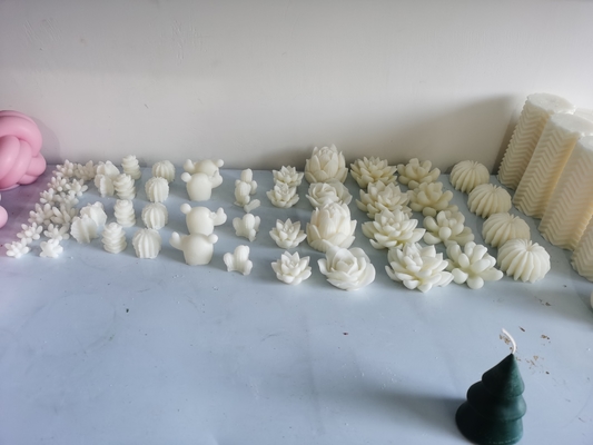 Diversas formas modificadas para requisitos particulares de Shell Flower Paraffin Wax Candle